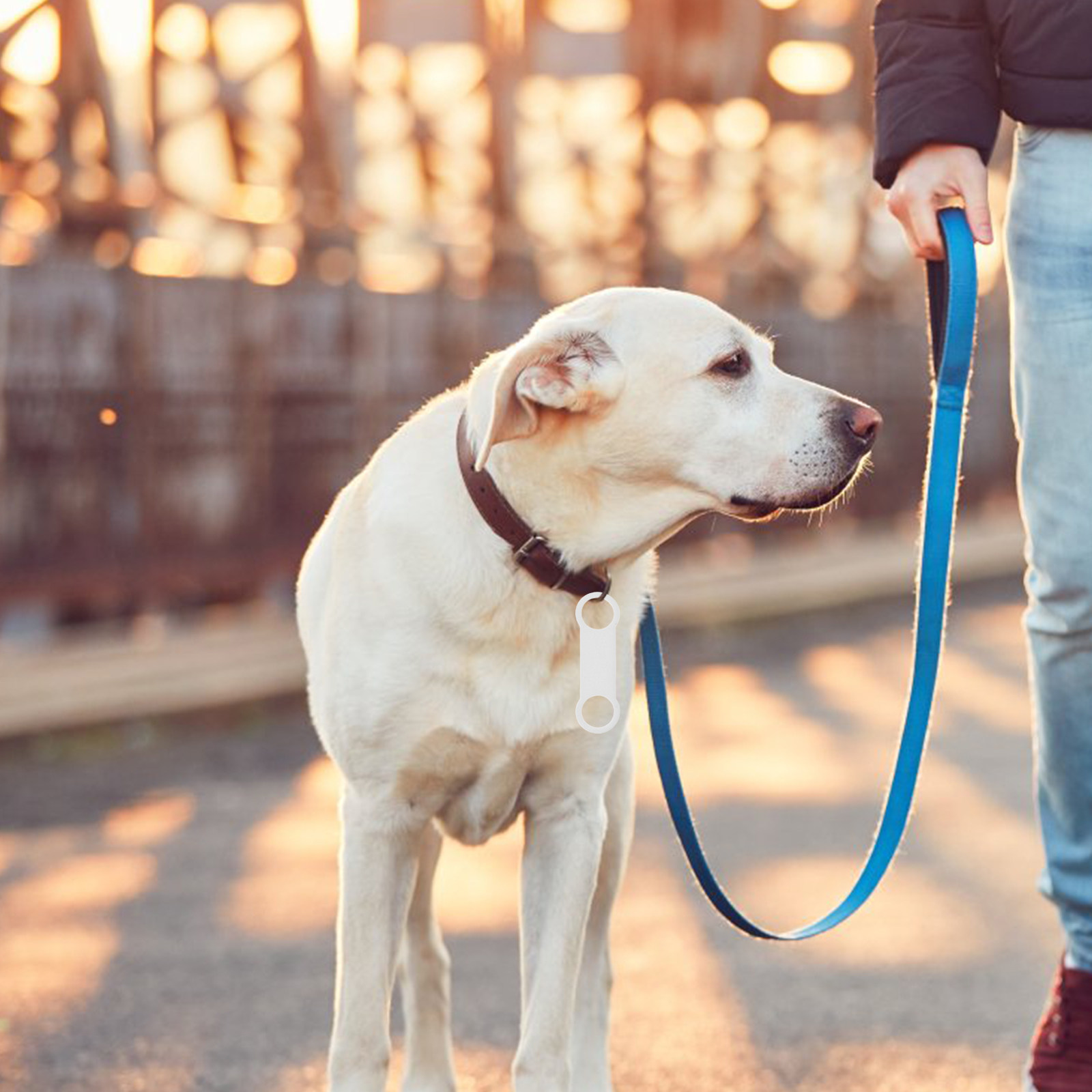 6 Stück Silikon-Hundemarkenhal – Silicone Band Replacement Bewertung und Preis